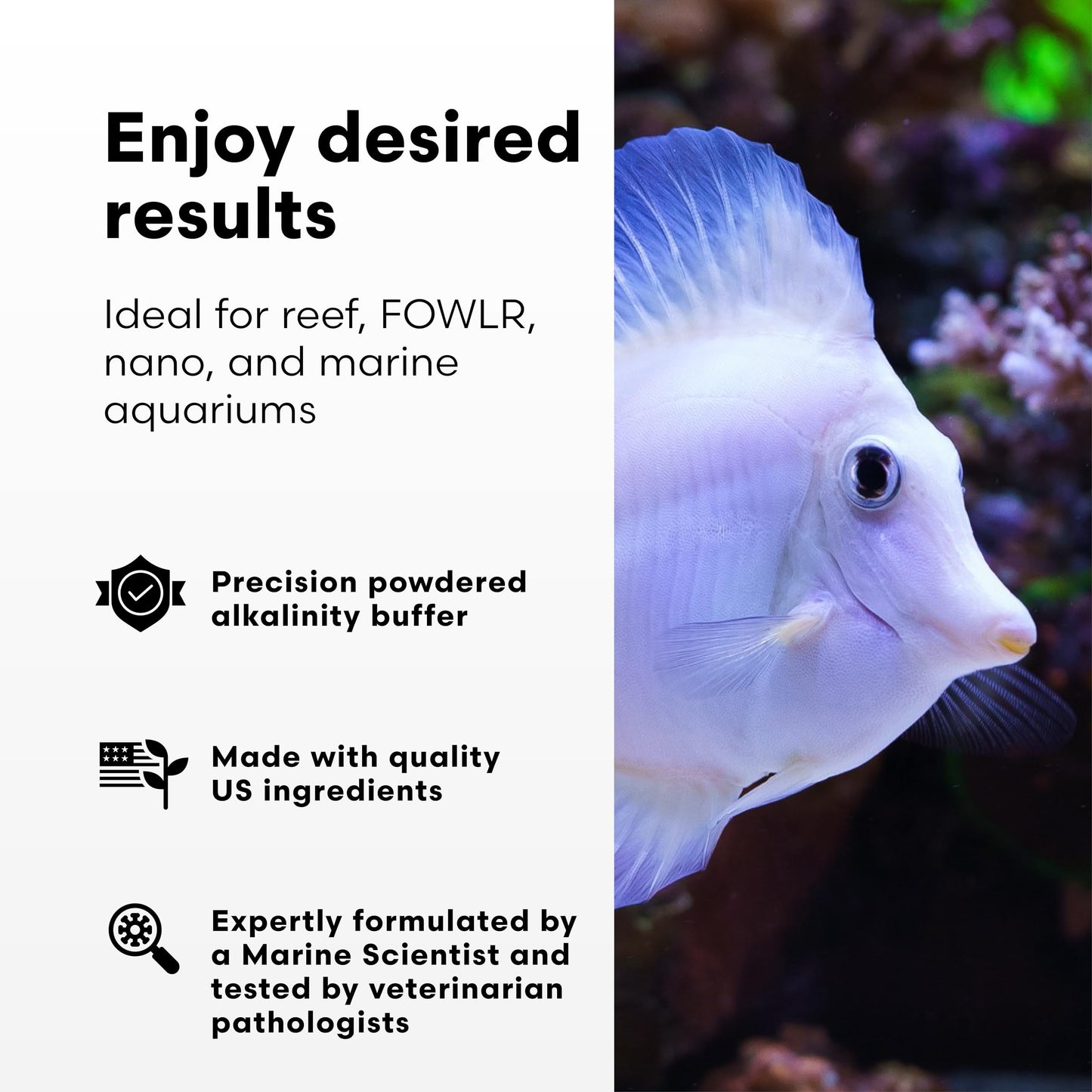 Brightwell Aquatics Alkalin8.3-P Powdered Alkalinity Buffer for Reef Aquariums – Regulates pH to 8.3, Promotes Aragonite Growth, Free of Phosphate & Additives, 1000g
