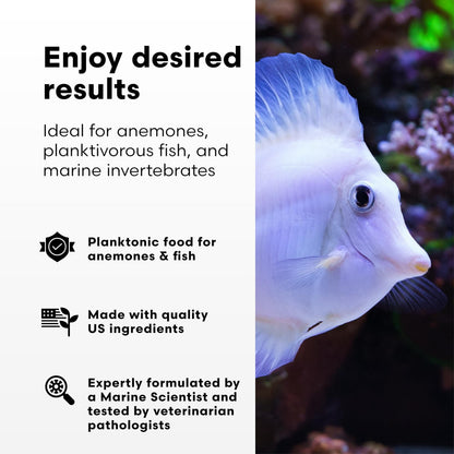 Brightwell Aquatics Reef Blizzard-A – High-Protein Planktonic Blend for Anemones, Planktivorous Fish & Marine Invertebrates – Enhances Color & Growth, 50g