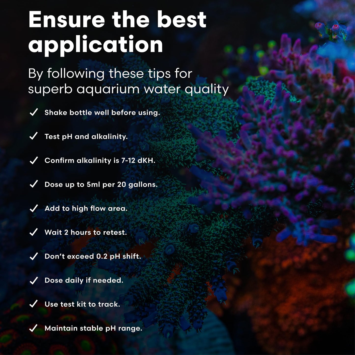 Brightwell Aquatics pH+ Alkalinity and pH Booster for Marine & Reef Aquariums Increases pH and KH Stability for Coral Growth and Enhances Carbonate Levels, 2L