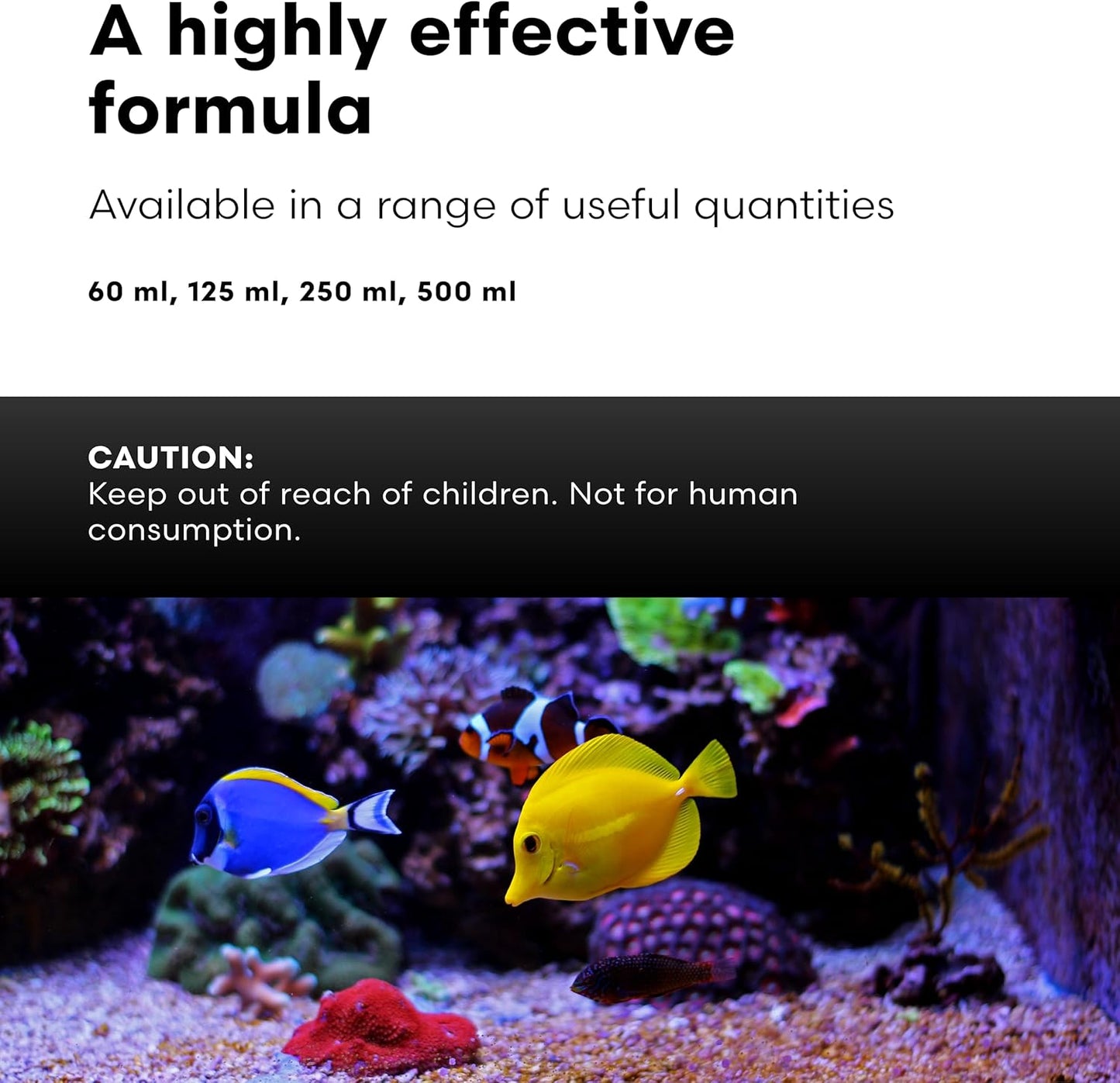 Brightwell Aquatics AminOmega - Amino & Omega - 3/6 HUFA Supplement for All Marine Fish & Reef Aquariums 60-ml