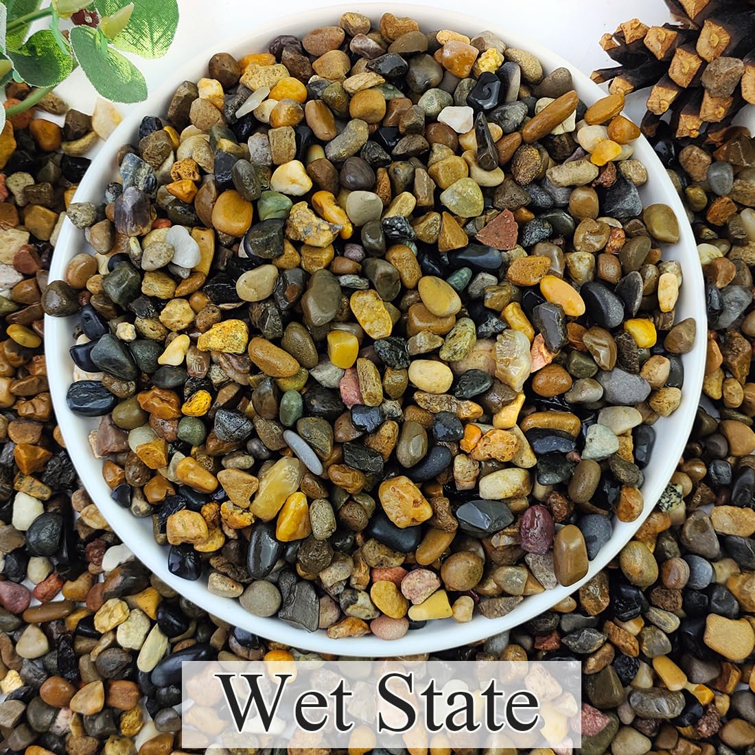2lbs Natural River Rocks, 1/4" Aquarium Gravel Succulent Cactus Pea Gravel for Plants, Fish Tank, Decorative Pebbles for Gardening, Flower Pots, Vase Fillers, Indoor Water Fountains, Landscaping - Buy The Sea Aquatics