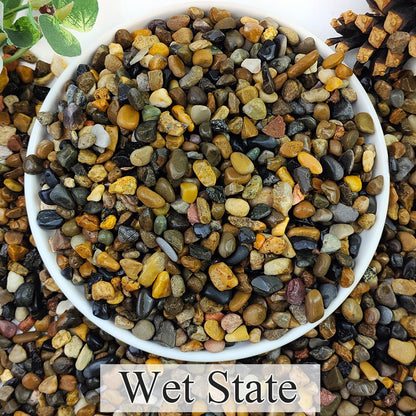 2lbs Natural River Rocks, 1/4" Aquarium Gravel Succulent Cactus Pea Gravel for Plants, Fish Tank, Decorative Pebbles for Gardening, Flower Pots, Vase Fillers, Indoor Water Fountains, Landscaping - Buy The Sea Aquatics