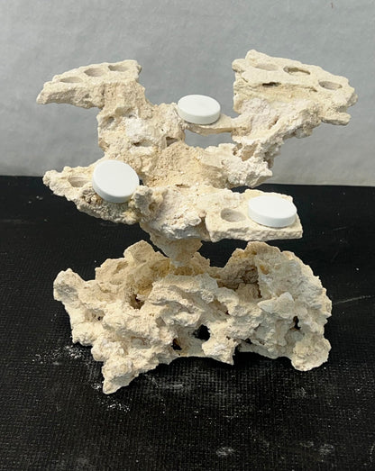 Coral Plug Holder, Natural Rock Frag Coral Growth (Natural White, Medium) - Buy The Sea Aquatics