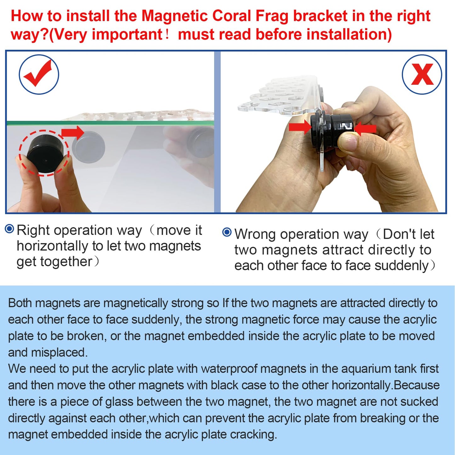 Aquarium Choice Coral Plug Holder Coral frag Rack Magnetic Holder Reef Magnets Holder for frag Rack (Coral Holder with 19 frag Plug) - Buy The Sea Aquatics