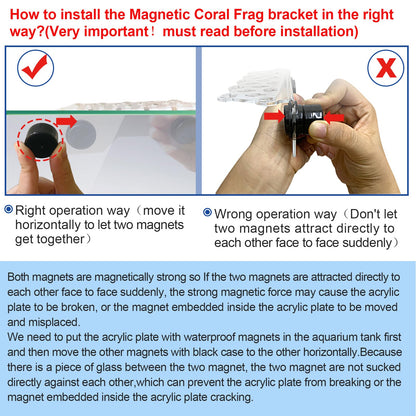 Aquarium Choice Coral Plug Holder Coral frag Rack Magnetic Holder Reef Magnets Holder for frag Rack (Coral Holder with 19 frag Plug) - Buy The Sea Aquatics