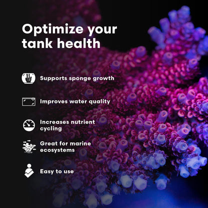 Brightwell Aquatics SpongExcel – Ionic Silica Solution for Marine Sponge & Gastropod Growth in Marine Aquariums, Boosts Water Quality, 125 ml