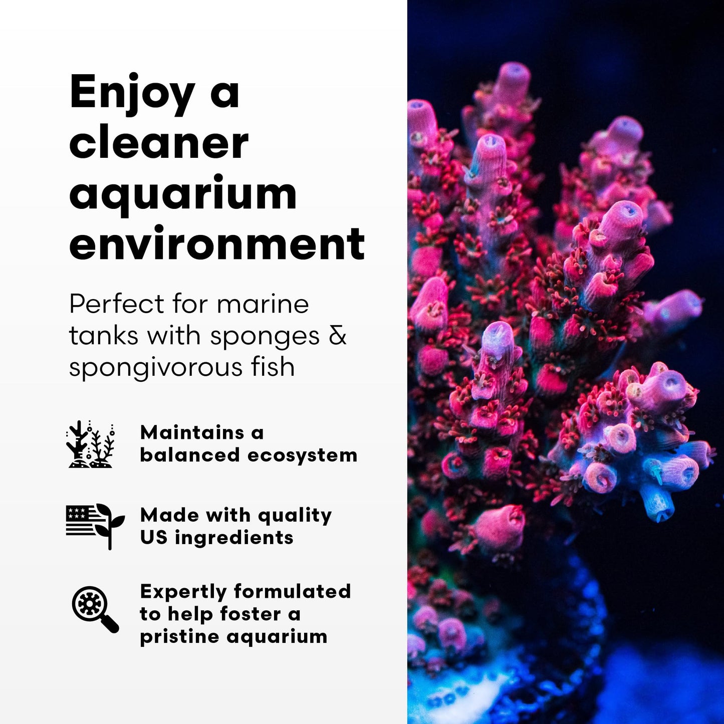 Brightwell Aquatics SpongExcel – Ionic Silica Solution for Marine Sponge & Gastropod Growth in Marine Aquariums, Boosts Water Quality, 125 ml