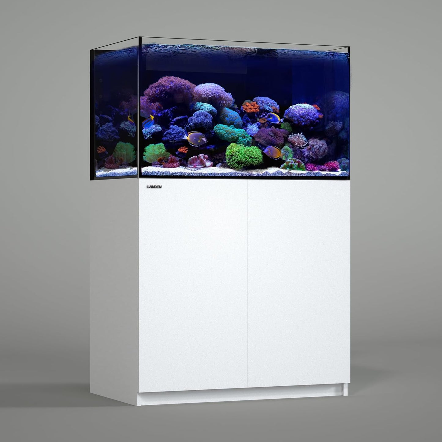 LANDEN RS 90 ReefStar Saltwater Aquarium Reef - Ready Sump Aquarium – 75 Gal Display + 30 Gal Sump | 35.4″×21.7″×20.9″ Tank + Cabinet w/Built - in Filtration for SPS/LPS Corals & Marine Fish - Buy The Sea Aquatics
