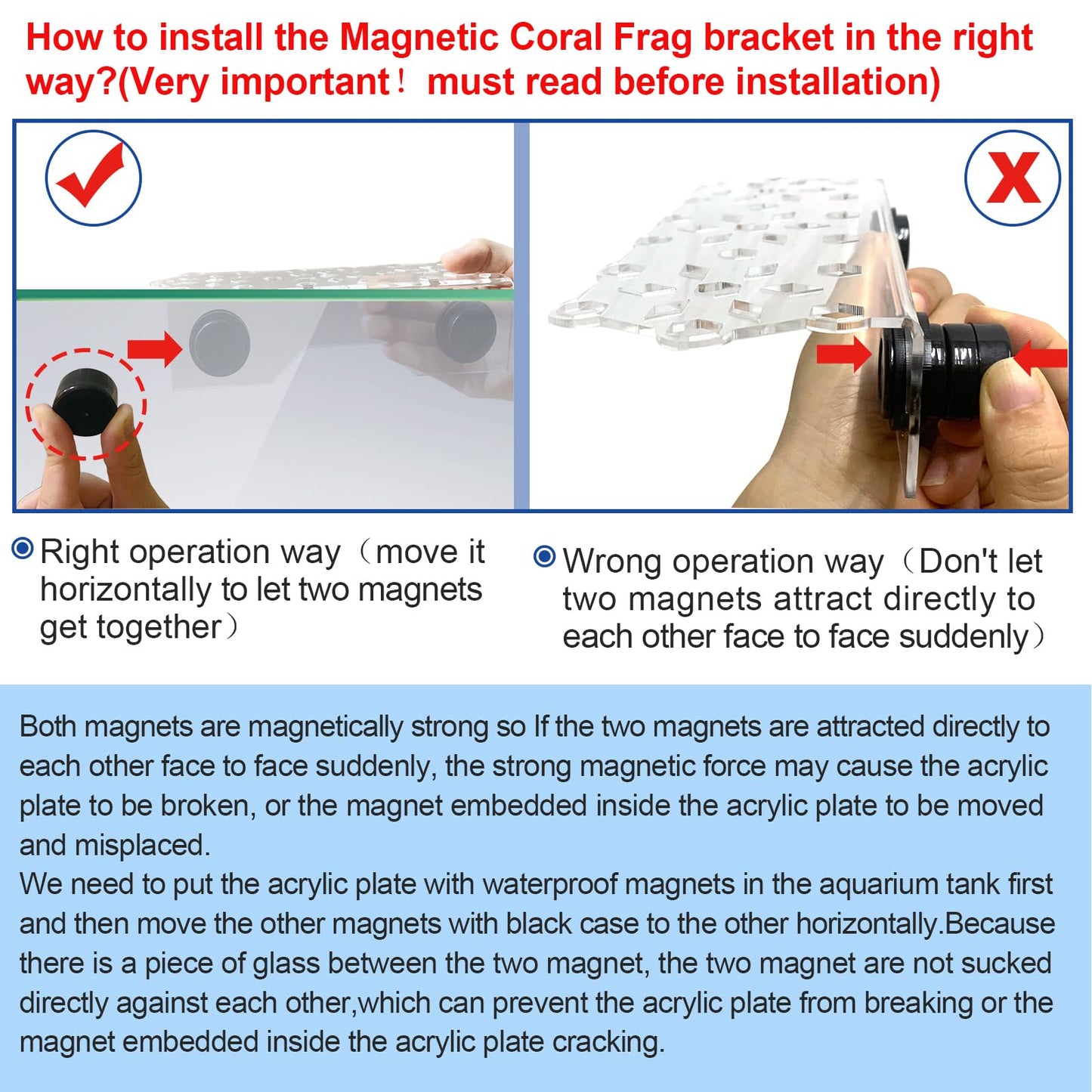 Aquarium Choice Coral Plug Holder Coral frag Rack Magnetic Holder Reef Magnets Holder for frag Rack (Coral Holder with 19 frag Plug) - Buy The Sea Aquatics