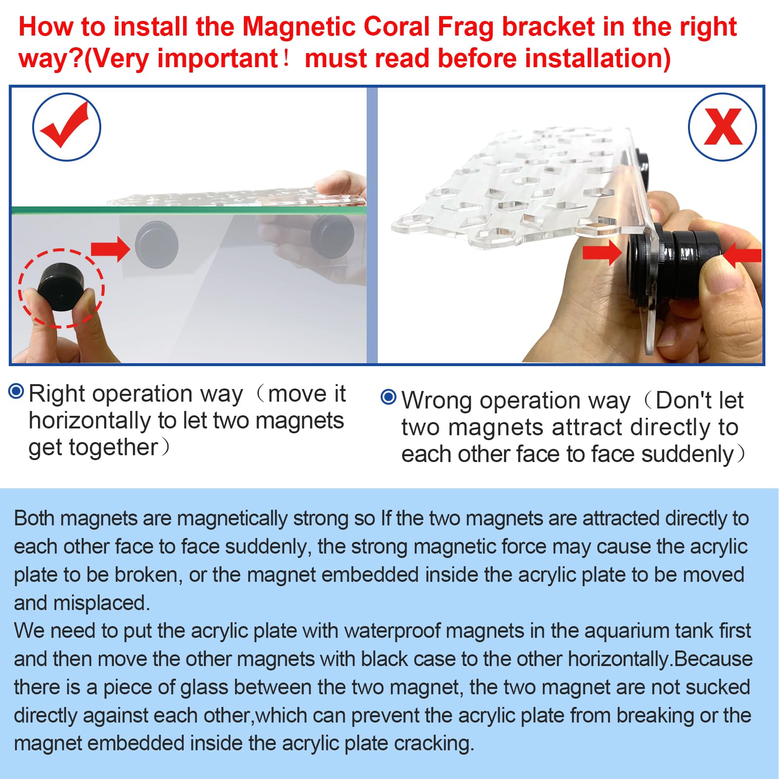 Aquarium Choice Coral Plug Holder Coral frag Rack Magnetic Holder Reef Magnets Holder for frag Rack (Coral Holder with 19 frag Plug) - Buy The Sea Aquatics
