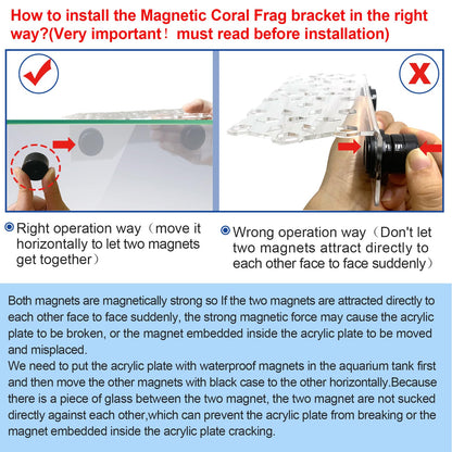 Aquarium Choice Coral Plug Holder Coral frag Rack Magnetic Holder Reef Magnets Holder for frag Rack (Coral Holder with 19 frag Plug) - Buy The Sea Aquatics