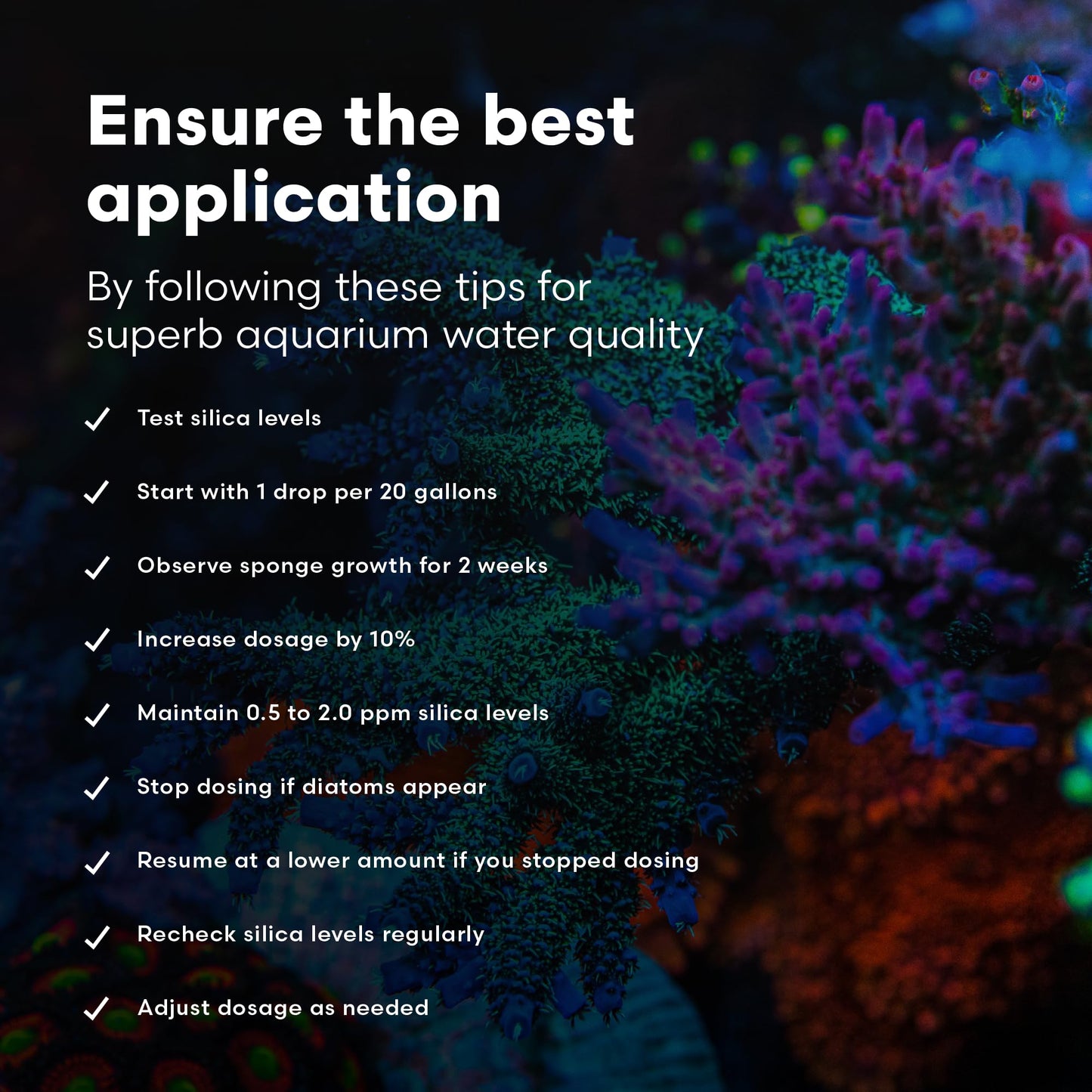 Brightwell Aquatics SpongExcel – Ionic Silica Solution for Marine Sponge & Gastropod Growth in Marine Aquariums, Boosts Water Quality, 125 ml