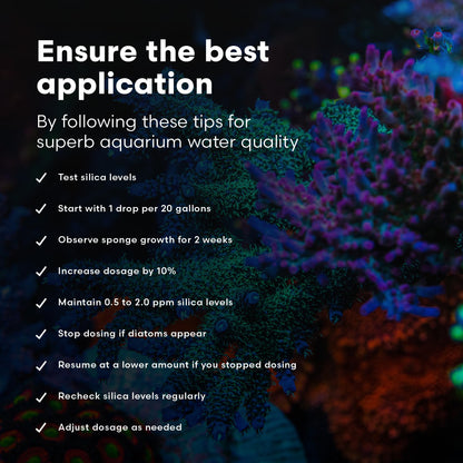 Brightwell Aquatics SpongExcel – Ionic Silica Solution for Marine Sponge & Gastropod Growth in Marine Aquariums, Boosts Water Quality, 125 ml