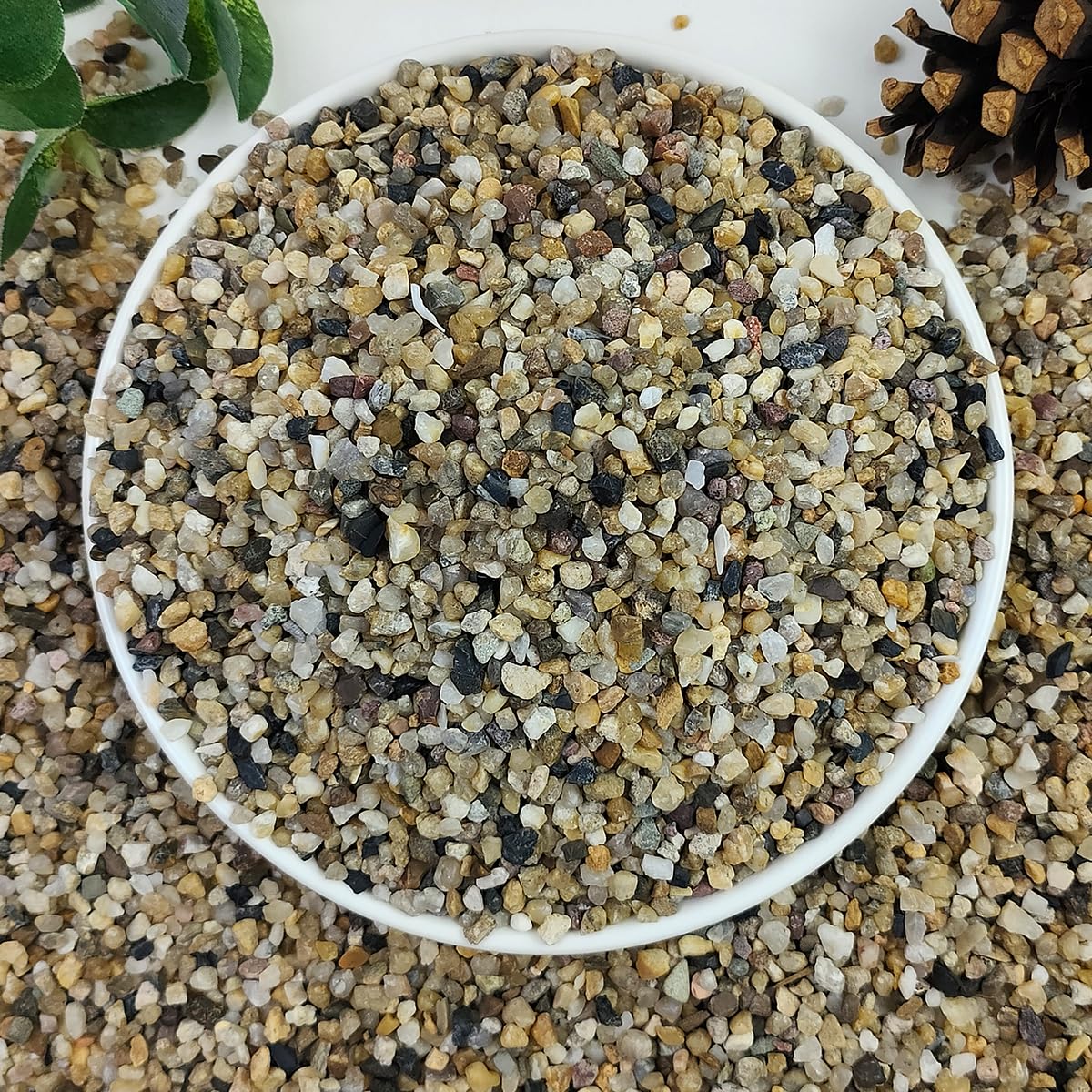 2lbs Natural River Rocks, 1/4" Aquarium Gravel Succulent Cactus Pea Gravel for Plants, Fish Tank, Decorative Pebbles for Gardening, Flower Pots, Vase Fillers, Indoor Water Fountains, Landscaping - Buy The Sea Aquatics