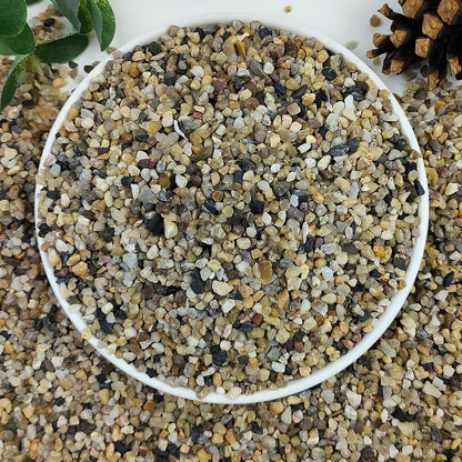 2lbs Natural River Rocks, 1/4" Aquarium Gravel Succulent Cactus Pea Gravel for Plants, Fish Tank, Decorative Pebbles for Gardening, Flower Pots, Vase Fillers, Indoor Water Fountains, Landscaping - Buy The Sea Aquatics