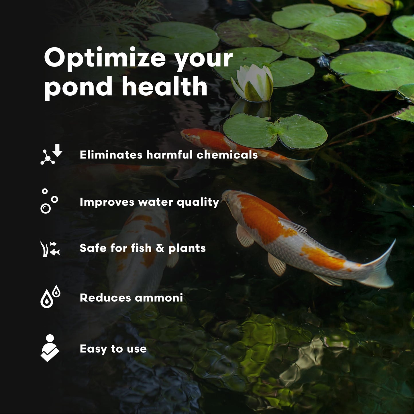 Brightwell Aquatics FlorinErase – Pond Water Conditioner for Chlorine, Chloramines, Ammonia & Nitrite Removal – Safe for Fish, Plants & Invertebrates, 2L