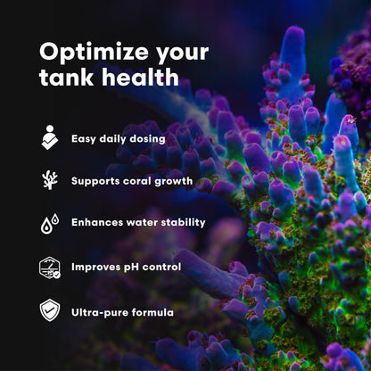 Brightwell Aquatics pH+ Alkalinity and pH Booster for Marine & Reef Aquariums Increases pH and KH Stability for Coral Growth and Enhances Carbonate Levels, 2L