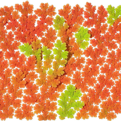 10 Plus Red Root Floater Plants Phyllanthus fluitans Floating Pond Plant Live Aquarium Floating Plants Create Shade and Hiding for Your Fish and Other inhabitants