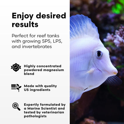 Brightwell Aquatics Magnesion-P High-Purity Powdered Magnesium Supplement for Reef Aquariums Supports Coral Growth Enhances Calcium & Alkalinity Balance, 400g