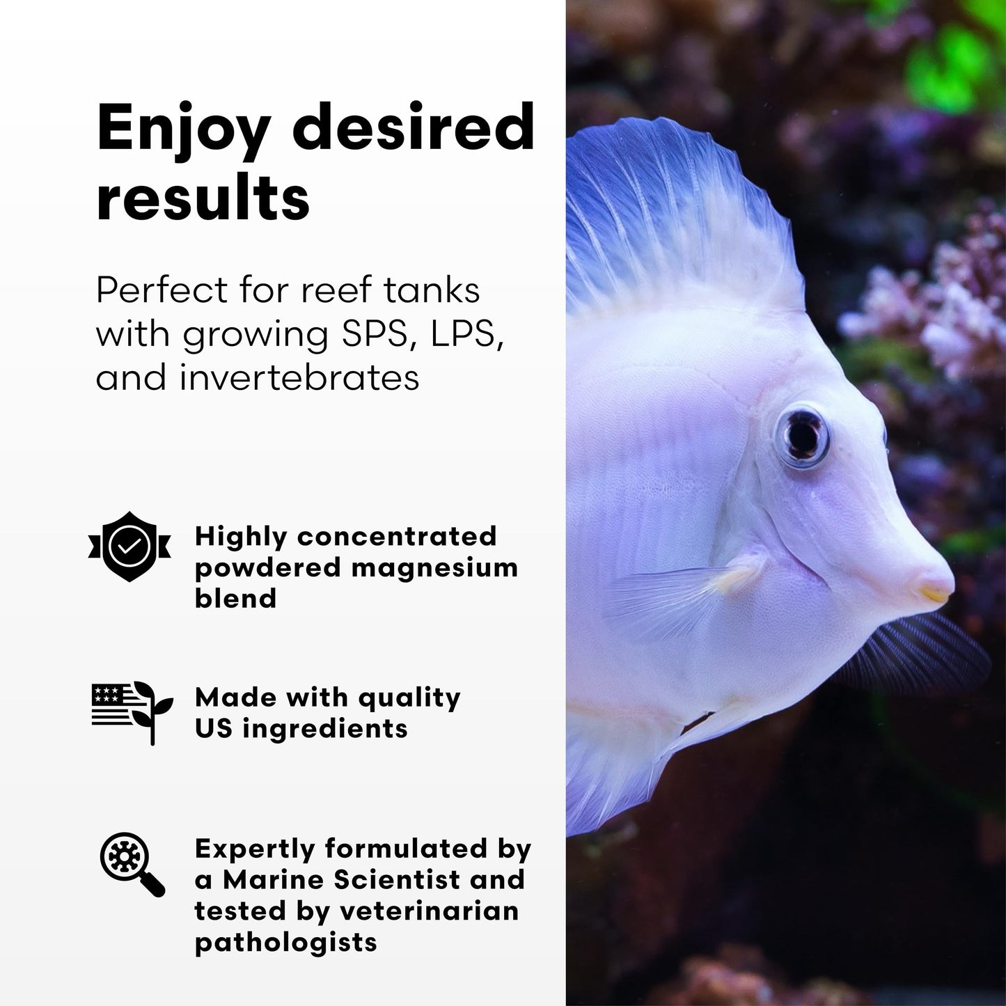 Brightwell Aquatics Magnesion-P High-Purity Powdered Magnesium Supplement for Reef Aquariums Supports Coral Growth Enhances Calcium & Alkalinity Balance, 400g