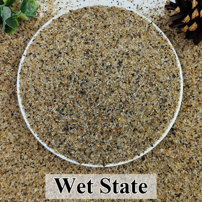 2lbs Natural River Rocks, 1/4" Aquarium Gravel Succulent Cactus Pea Gravel for Plants, Fish Tank, Decorative Pebbles for Gardening, Flower Pots, Vase Fillers, Indoor Water Fountains, Landscaping