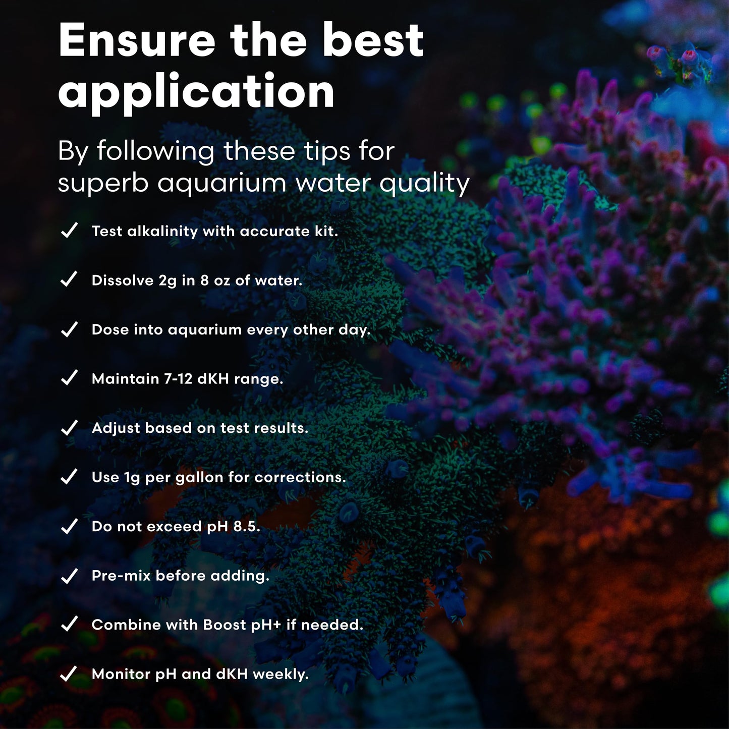 Brightwell Aquatics Alkalin8.3-P Powdered Alkalinity Buffer for Reef Aquariums – Regulates pH to 8.3, Promotes Aragonite Growth, Free of Phosphate & Additives, 1000g