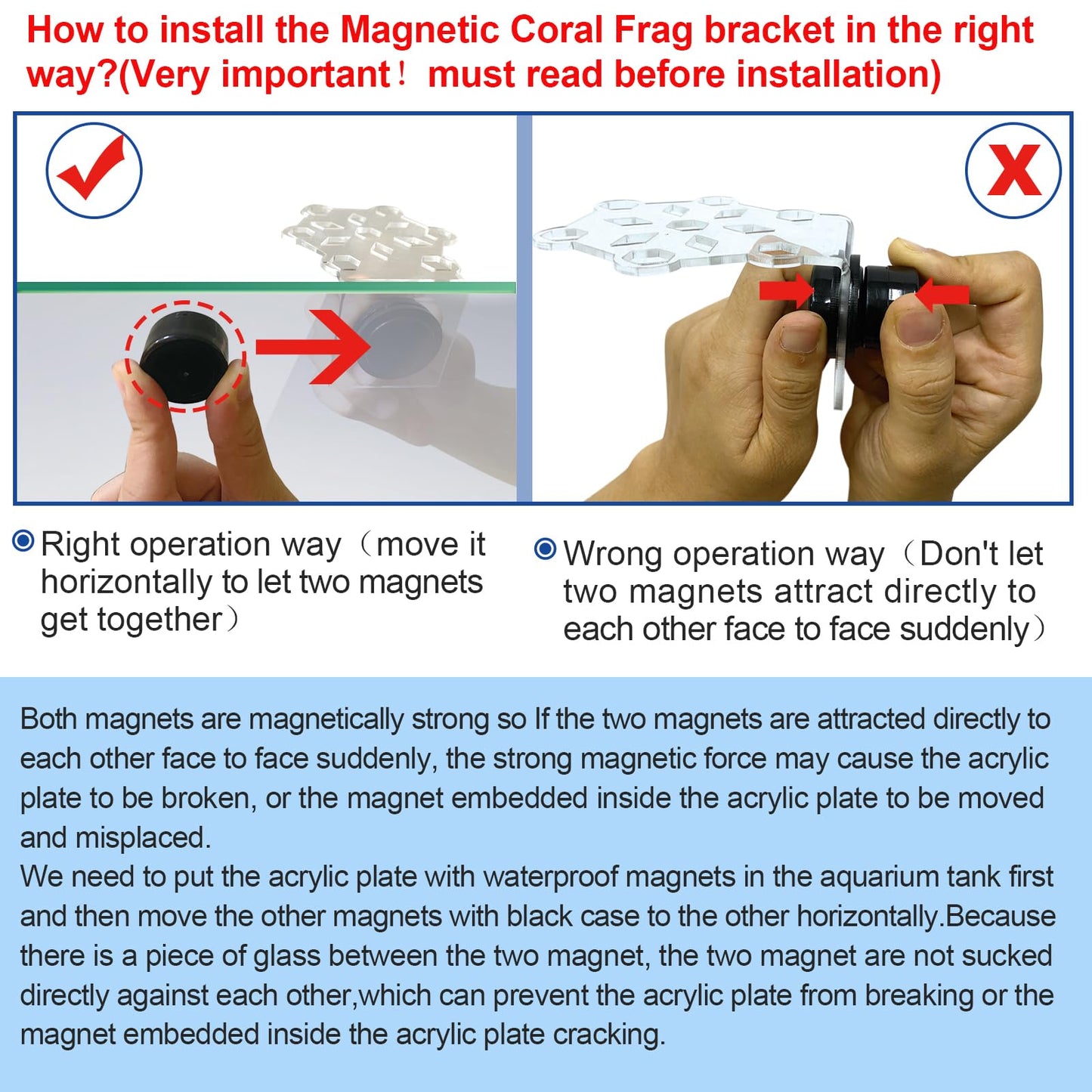 Aquarium Choice Coral Plug Holder Coral frag Rack Magnetic Holder Reef Magnets Holder for frag Rack (Coral Holder with 19 frag Plug) - Buy The Sea Aquatics