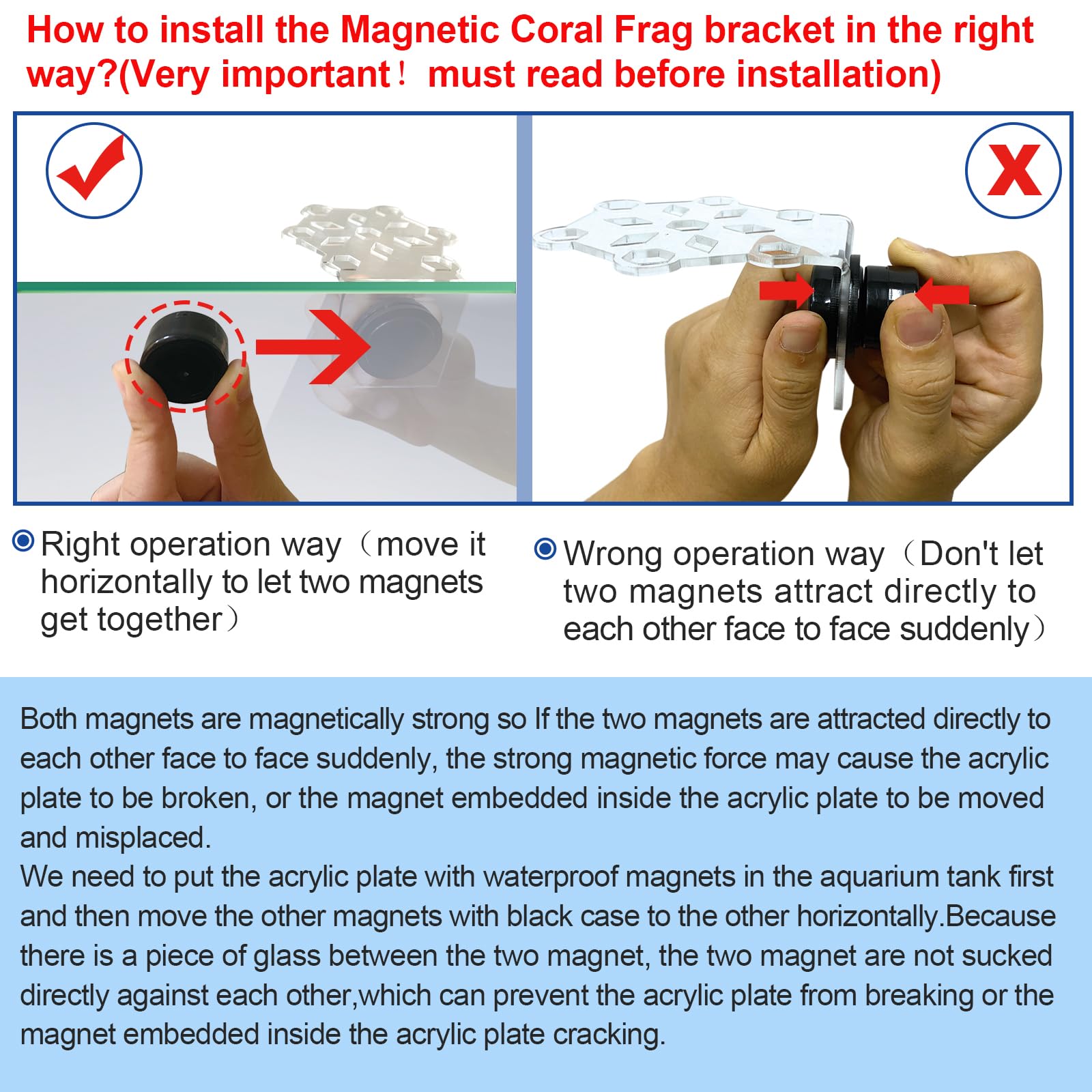Aquarium Choice Coral Plug Holder Coral frag Rack Magnetic Holder Reef Magnets Holder for frag Rack (Coral Holder with 19 frag Plug) - Buy The Sea Aquatics