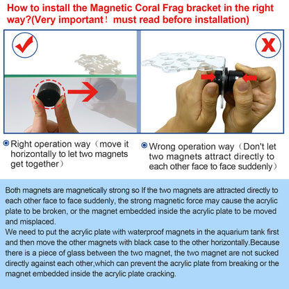Aquarium Choice Coral Plug Holder Coral frag Rack Magnetic Holder Reef Magnets Holder for frag Rack (Coral Holder with 19 frag Plug) - Buy The Sea Aquatics