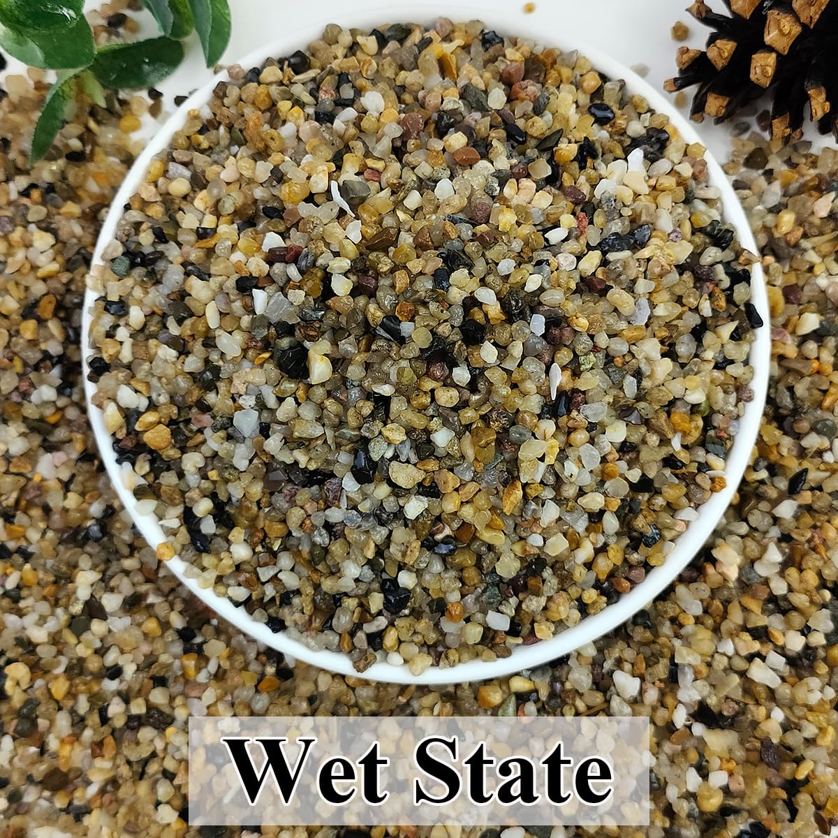 2lbs Natural River Rocks, 1/4" Aquarium Gravel Succulent Cactus Pea Gravel for Plants, Fish Tank, Decorative Pebbles for Gardening, Flower Pots, Vase Fillers, Indoor Water Fountains, Landscaping - Buy The Sea Aquatics