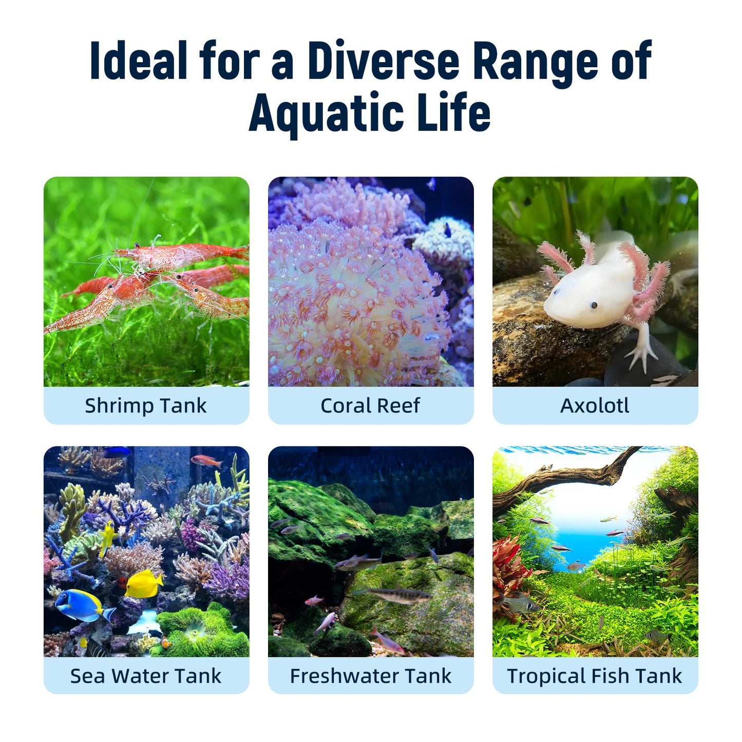 Aquarium Chiller Fan,Fish Tank Cooler with Temperature Control,Minimum Setting 59℉,Auto Start/Stop,Refrigeration Effect 3 - 7℉,3 - Speed Modes,for Axolotl Seawater Freshwater Coral Grass Tank - Buy The Sea Aquatics