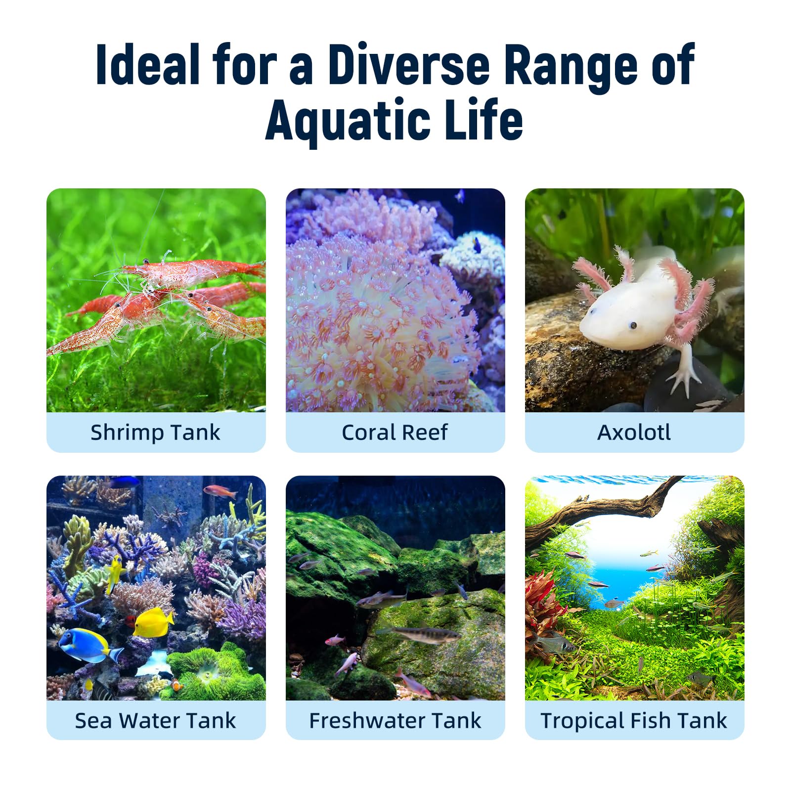 Aquarium Chiller Fan,Fish Tank Cooler with Temperature Control,Minimum Setting 59℉,Auto Start/Stop,Refrigeration Effect 3 - 7℉,3 - Speed Modes,for Axolotl Seawater Freshwater Coral Grass Tank - Buy The Sea Aquatics