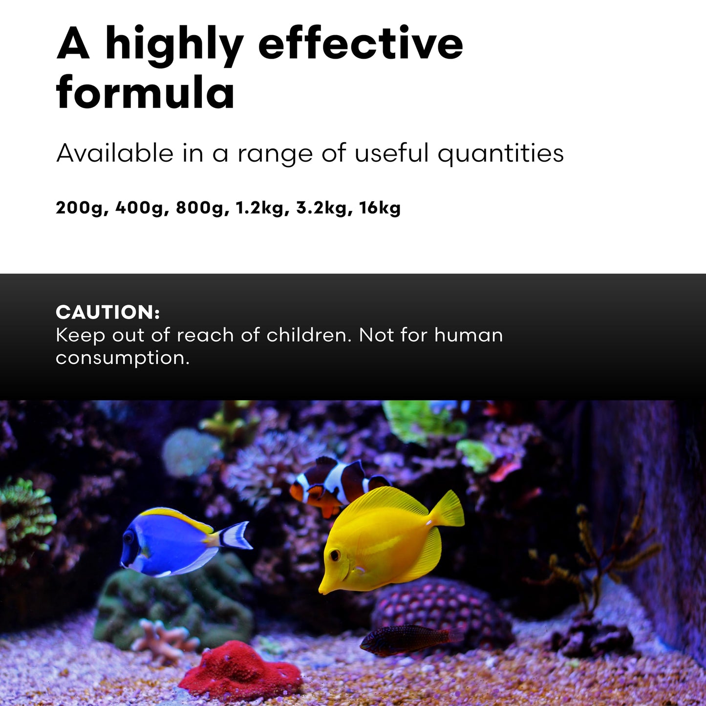 Brightwell Aquatics Magnesion-P High-Purity Powdered Magnesium Supplement for Reef Aquariums Supports Coral Growth Enhances Calcium & Alkalinity Balance, 400g