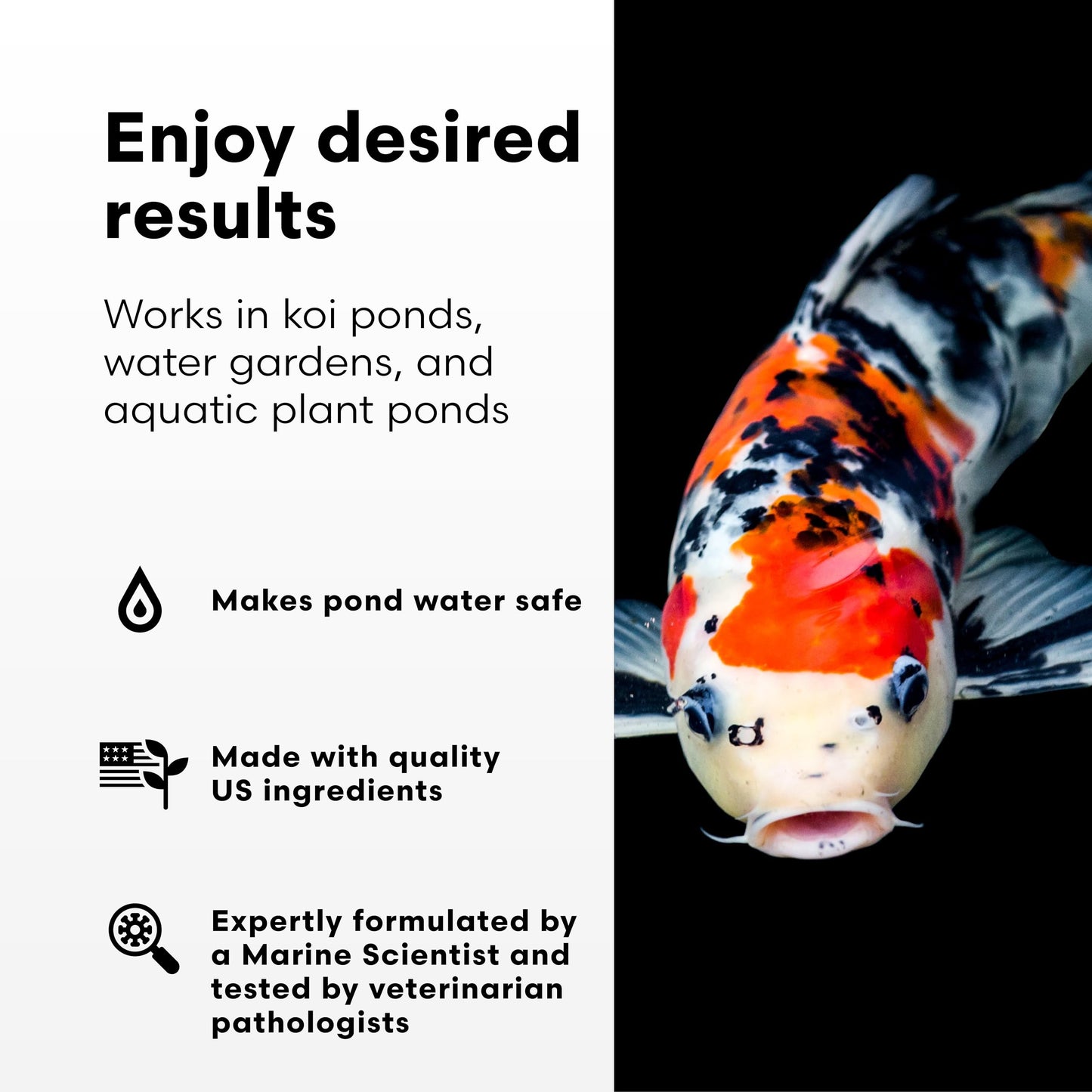 Brightwell Aquatics FlorinErase – Pond Water Conditioner for Chlorine, Chloramines, Ammonia & Nitrite Removal – Safe for Fish, Plants & Invertebrates, 2L