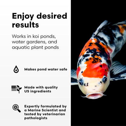 Brightwell Aquatics FlorinErase – Pond Water Conditioner for Chlorine, Chloramines, Ammonia & Nitrite Removal – Safe for Fish, Plants & Invertebrates, 2L
