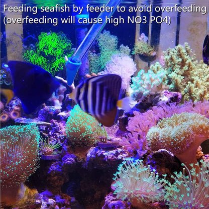 31.5Inch Long Corals Grabber,reefs Feeders,Aquarium Veggie Feedting Tool,Aquarium Food Clip Feeding(Long Reef Grabber and Coral Feeder Kits(Anti-Rust)