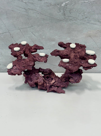 Coral Plug Holder, Natural Rock Frag Coral Growth (Natural White, Medium) - Buy The Sea Aquatics