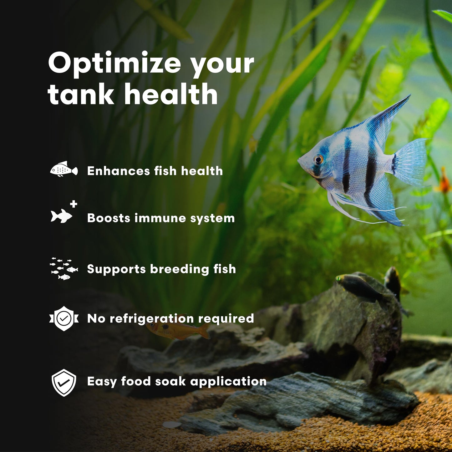 Brightwell Aquatics Vitamarin-F – Complete Vitamin Supplement for Freshwater Fish & Invertebrates – Supports Health, Color & Spawning – No Refrigeration, 250 ml