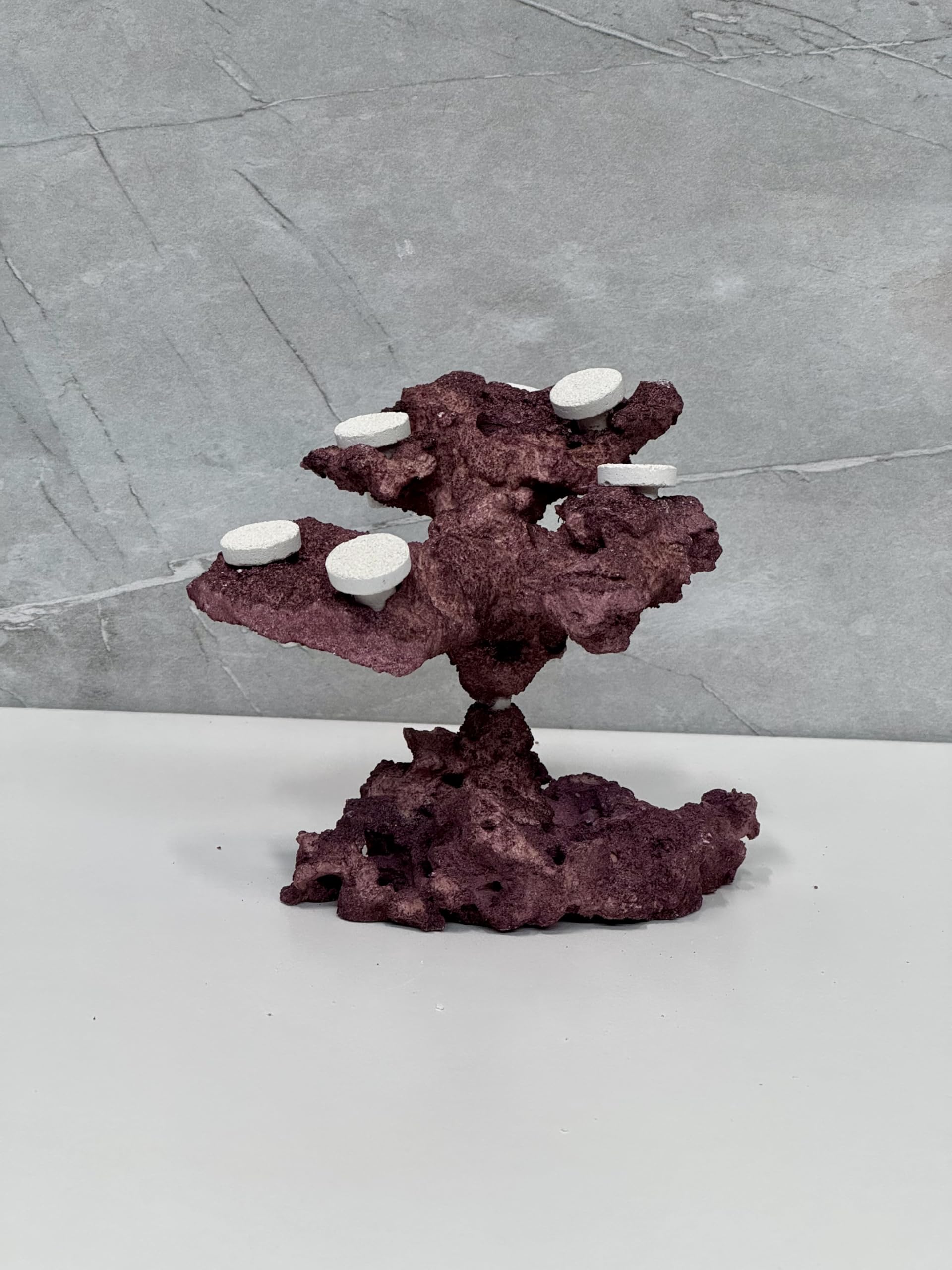 Coral Plug Holder, Natural Rock Frag Coral Growth (Natural White, Medium) - Buy The Sea Aquatics