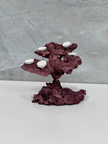 Coral Plug Holder, Natural Rock Frag Coral Growth (Natural White, Medium) - Buy The Sea Aquatics