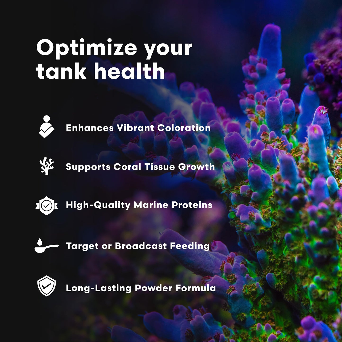 Brightwell Aquatics Reef Blizzard-A – High-Protein Planktonic Blend for Anemones, Planktivorous Fish & Marine Invertebrates – Enhances Color & Growth, 50g