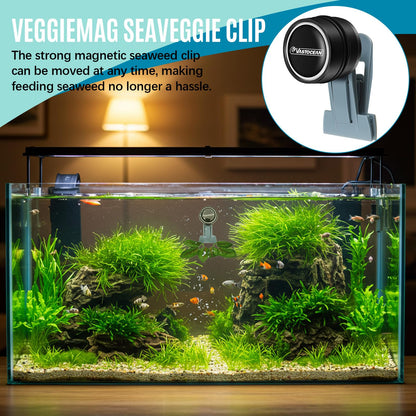 Blulu 1 Pcs Magnetic Seaweed Feeding Clips Saltwater Aquarium Tank Accessories Algae Magnet Seaweed Feeder for Fish and Aquatic Pets, Automatic Fish Feeder - Buy The Sea Aquatics