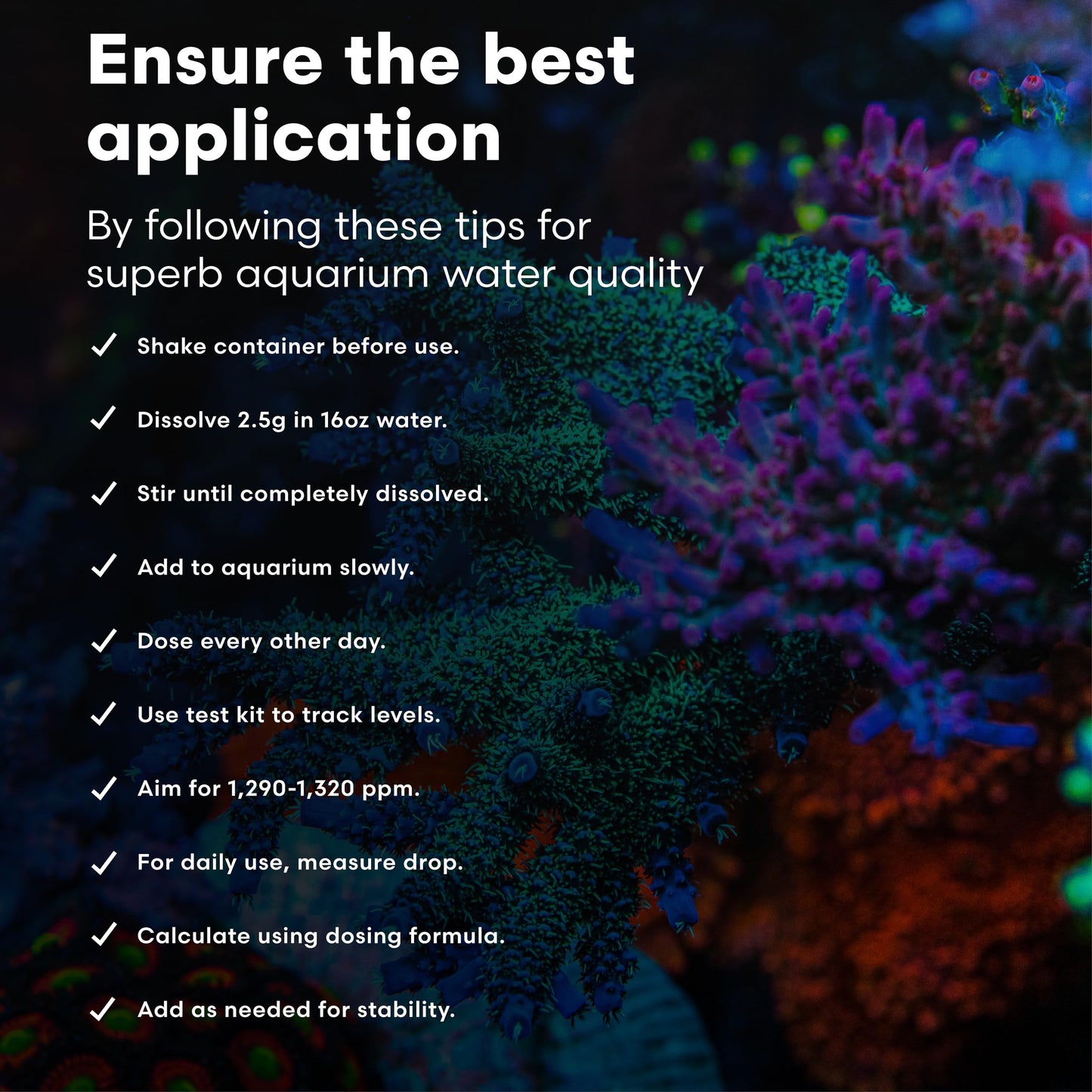 Brightwell Aquatics Magnesion-P High-Purity Powdered Magnesium Supplement for Reef Aquariums Supports Coral Growth Enhances Calcium & Alkalinity Balance, 400g