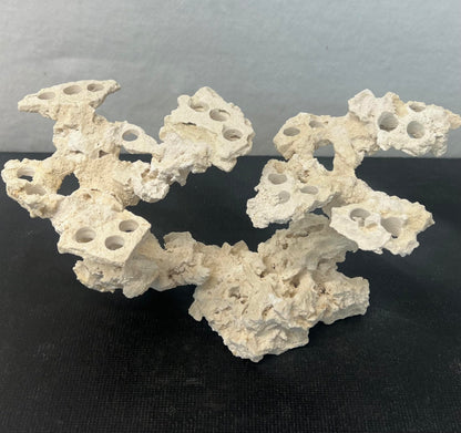 Coral Plug Holder, Natural Rock Frag Coral Growth (Natural White, Medium) - Buy The Sea Aquatics