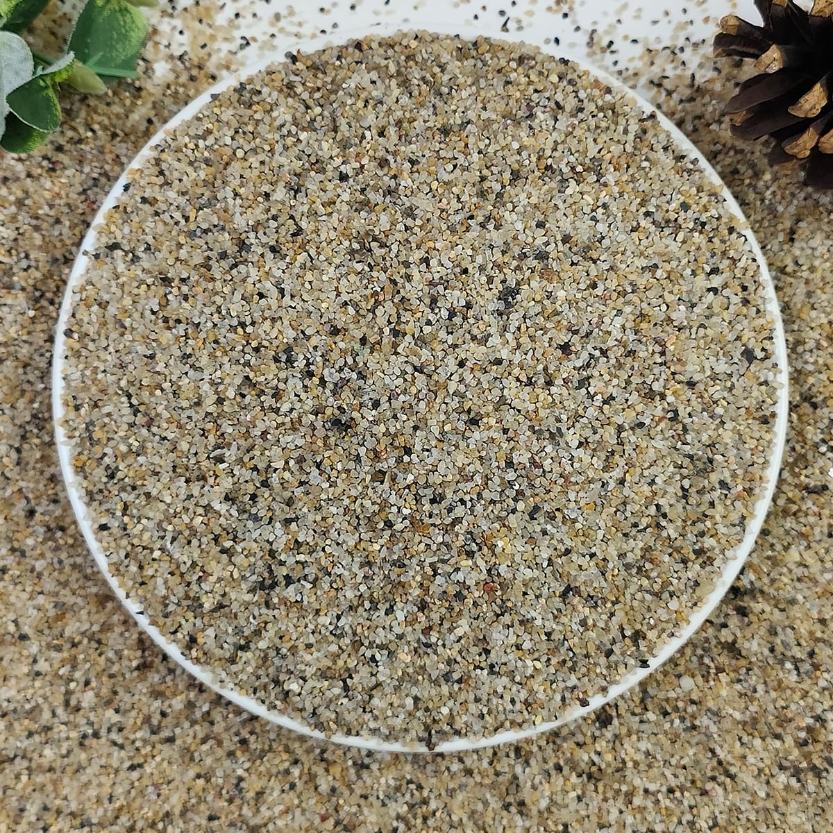 2lbs Natural River Rocks, 1/4" Aquarium Gravel Succulent Cactus Pea Gravel for Plants, Fish Tank, Decorative Pebbles for Gardening, Flower Pots, Vase Fillers, Indoor Water Fountains, Landscaping