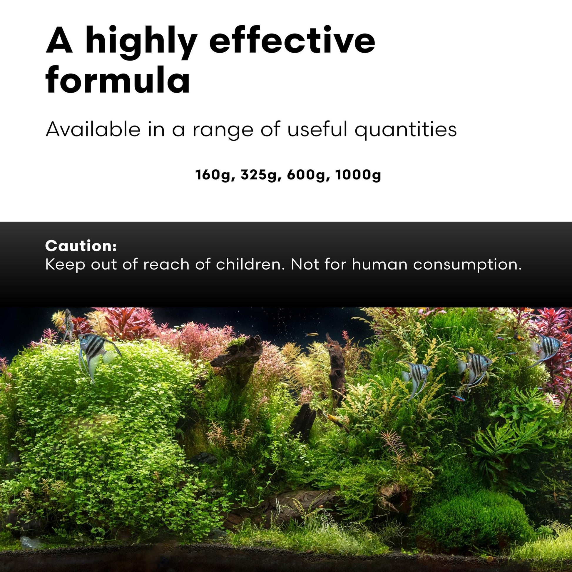 Brightwell Aquatics FlorinBase Laterite Powder – Iron - Rich Clay Substrate for Planted Aquariums – Enhances Root Growth, Plant Health – pH Neutral, 1000g - Buy The Sea Aquatics