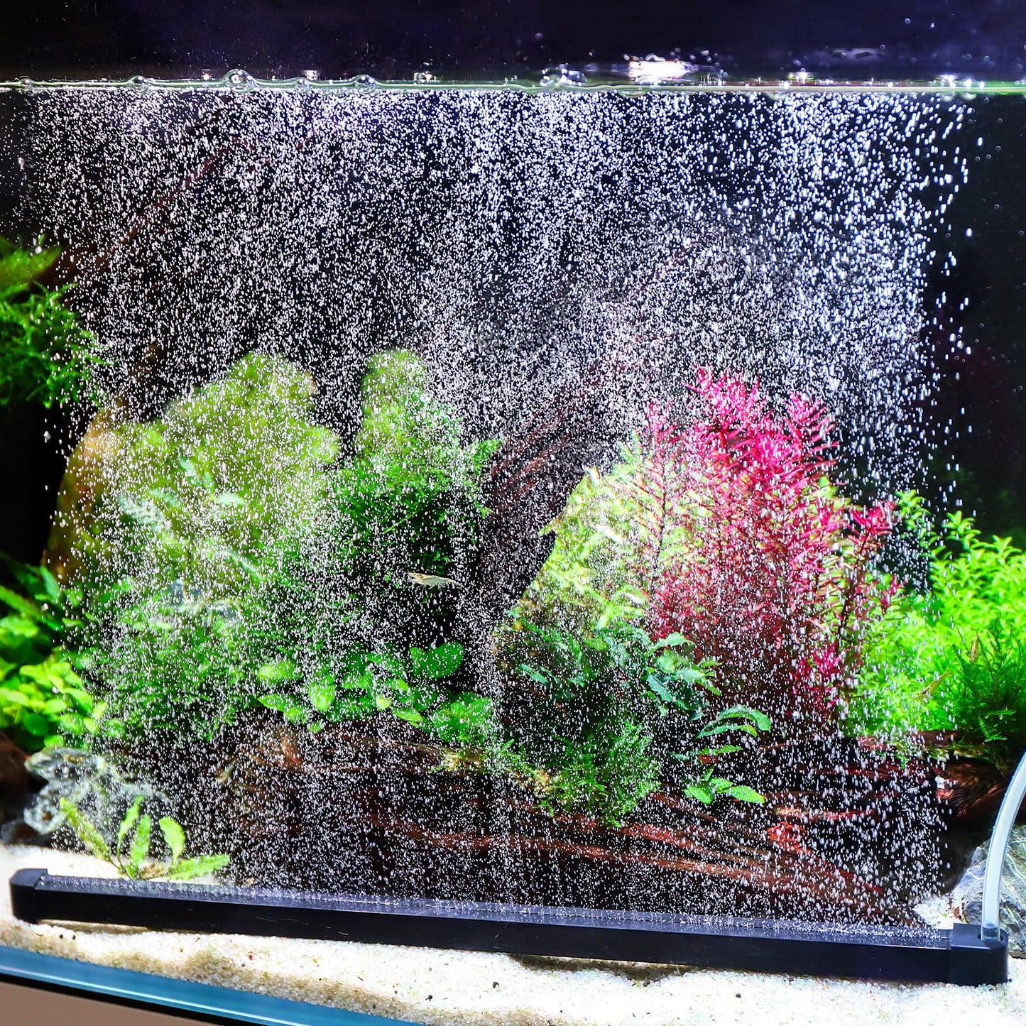 hygger Weighted Nano Mist Bubble Wall Bar, 31.5" Self - Sinking ABS Air Stone Strip with Gentle Oxygen Diffuser for Freshwater & Marine Aquarium, Hydroponics - Buy The Sea Aquatics
