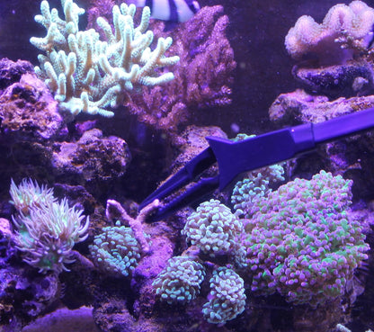 Aquarium Tongs 27 inch (70 cm), 100% Reef Safe, Multi Purpose for Fresh and Saltwater Fish Tanks, Clip Plants, Spot Feed Fish and Coral, Keep Hands Dry