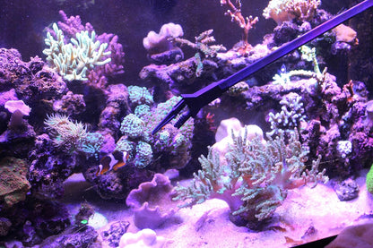 Aquarium Tongs 27 inch (70 cm), 100% Reef Safe, Multi Purpose for Fresh and Saltwater Fish Tanks, Clip Plants, Spot Feed Fish and Coral, Keep Hands Dry