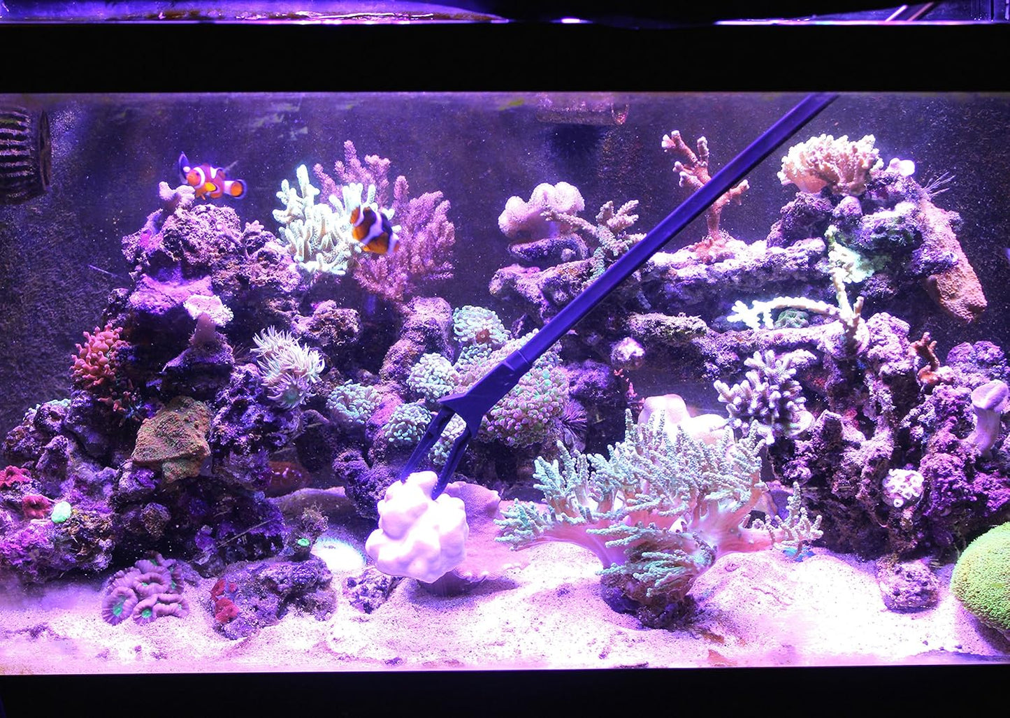 Aquarium Tongs 27 inch (70 cm), 100% Reef Safe, Multi Purpose for Fresh and Saltwater Fish Tanks, Clip Plants, Spot Feed Fish and Coral, Keep Hands Dry
